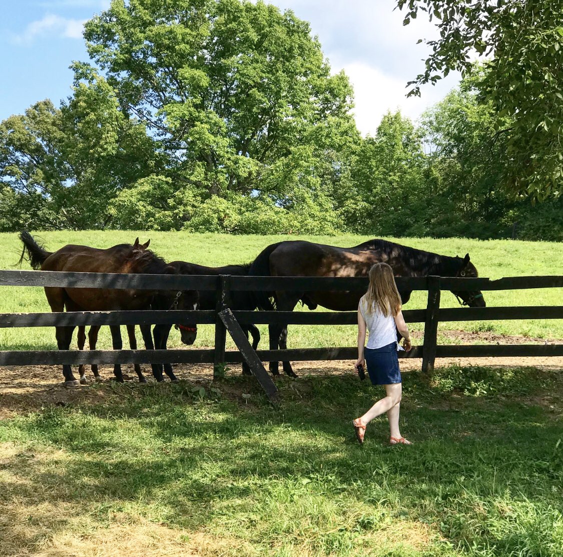 It was a really special time though, so I wanted to share... here’s the Saratoga Lake, my parents, some Saratoga horses, and tomatoes and basil from my parents garden. Oh yea, and I took my boards 