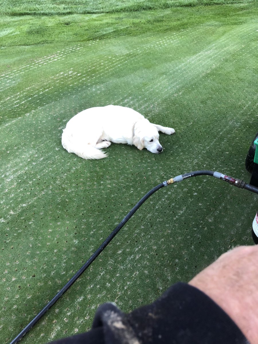 kmcddryject's tweet photo. Had a big week  in Cohasset and Wellesley...both in fantastic shape! Their clubs need realize the respect that these guys and their crews deserve! Seems like everyone (industry wide) are setting a new bars for themselves. Keep up the great work! https://t.co/Kn1mLGhUzD