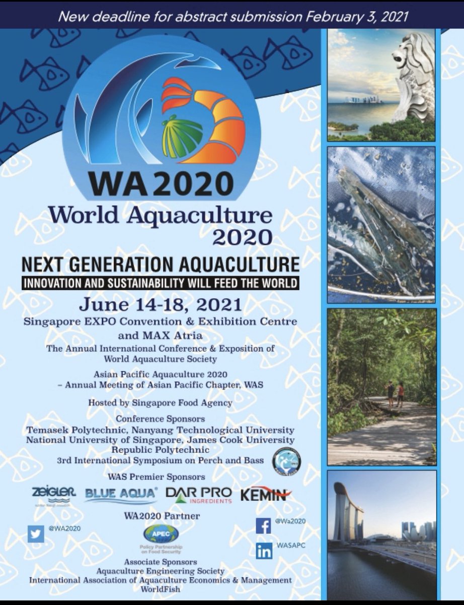bastileila's tweet photo. We have postponed World Aquaculture 2020 until June 14-18, 2021 in Singapore.  
We will be presenting a free webinar for WA2020 participants during December 14-16 on important aquaculture topics. Details will be posted on the website. https://t.co/kBFFhx5LFK