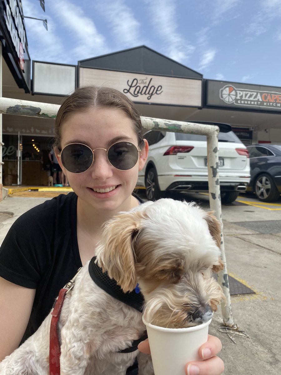 shelleymlloyd's tweet photo. Puppy living his best life. #boothedog https://t.co/y20J3sZYDz