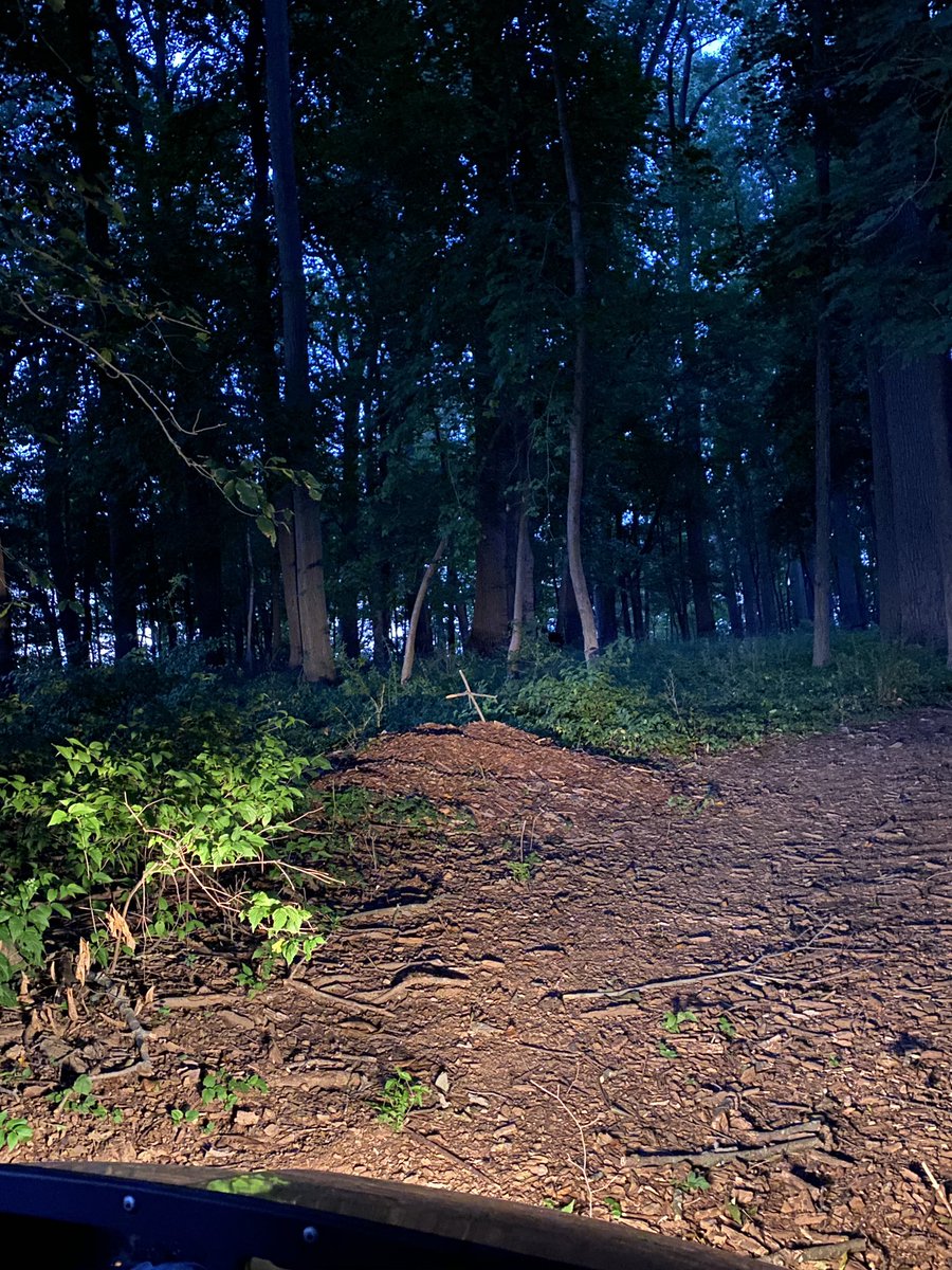 M. Night Shyamalan tweet media