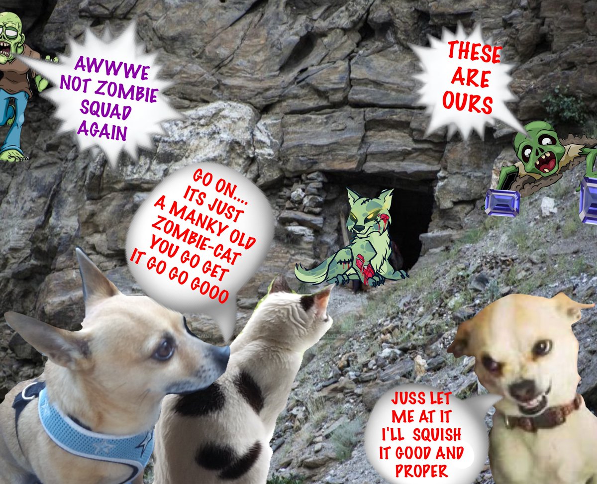 6 #zzst ♦️♦️♦️♦️♦️♦️♦️
WATCH OUT PUSS.. THATS A ZOMBIESQUAD CAT THERE TRAPPED IN THE RUBBLE in the DOORWAY.. STEADY WE DONT WANT  START AN AVALANCHE 
TAKE NO NOTICE OF THE DAFFY ZOMMS THEY AINT GOT A CLUE WHAT THIS LOT IS WORTH WE CAUGHT EM BY SUPPPRISE♥️♦️👍🎉🎉🎉🎉