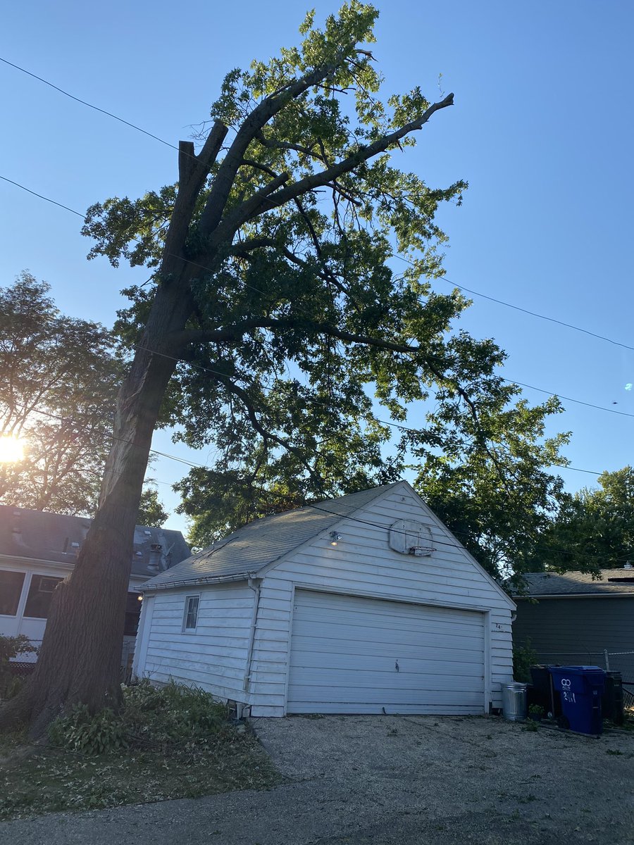 Lucy Claire Reyes tweet media