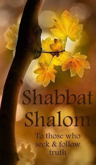 maureen_lemus's tweet photo. #ShabbatShalom https://t.co/W4NhF7QAM0