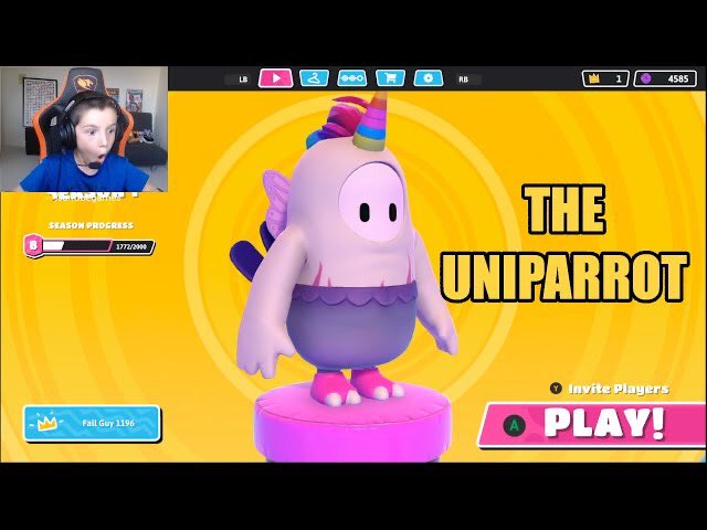 anittadp's tweet photo. The one with the UNIPARROT 🌈 https://t.co/Cf5V1VM20m @FallGuysGame https://t.co/wVqdRaWmUS