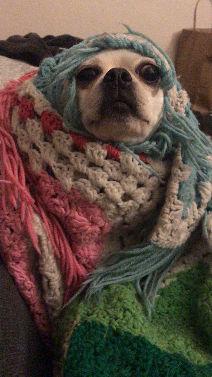 sandinistaoliva's tweet image. He’s so sad 😞 #MovingProblems