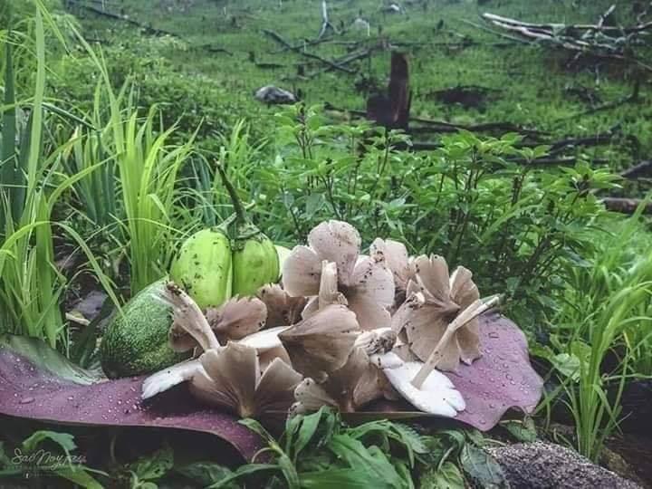 🌠 OPEN PROMOTE 🌠

CC 
<a href="/TheArieAir/">Arie Dirgantara</a>
@tjhinfar21
<a href="/wiwikherma/">Wiwik Hermawati</a>
<a href="/LILApama2011/">E L I S Y A</a>

Follow 

<a href="/LayliaRa/">layliarahmawati</a>
@layliarahmawati

UP
<a href="/jitoe02/">Jitu ⚓ หนึ่ง</a>
@sherlyoct4viani 
<a href="/Windawati_90/">🆄🅼🅸</a> 
<a href="/Lima8Satu/">Felia</a> 

🔃 ❤ Rep 
#MutualMilenial 
Semua ada di Desa
#programfolback