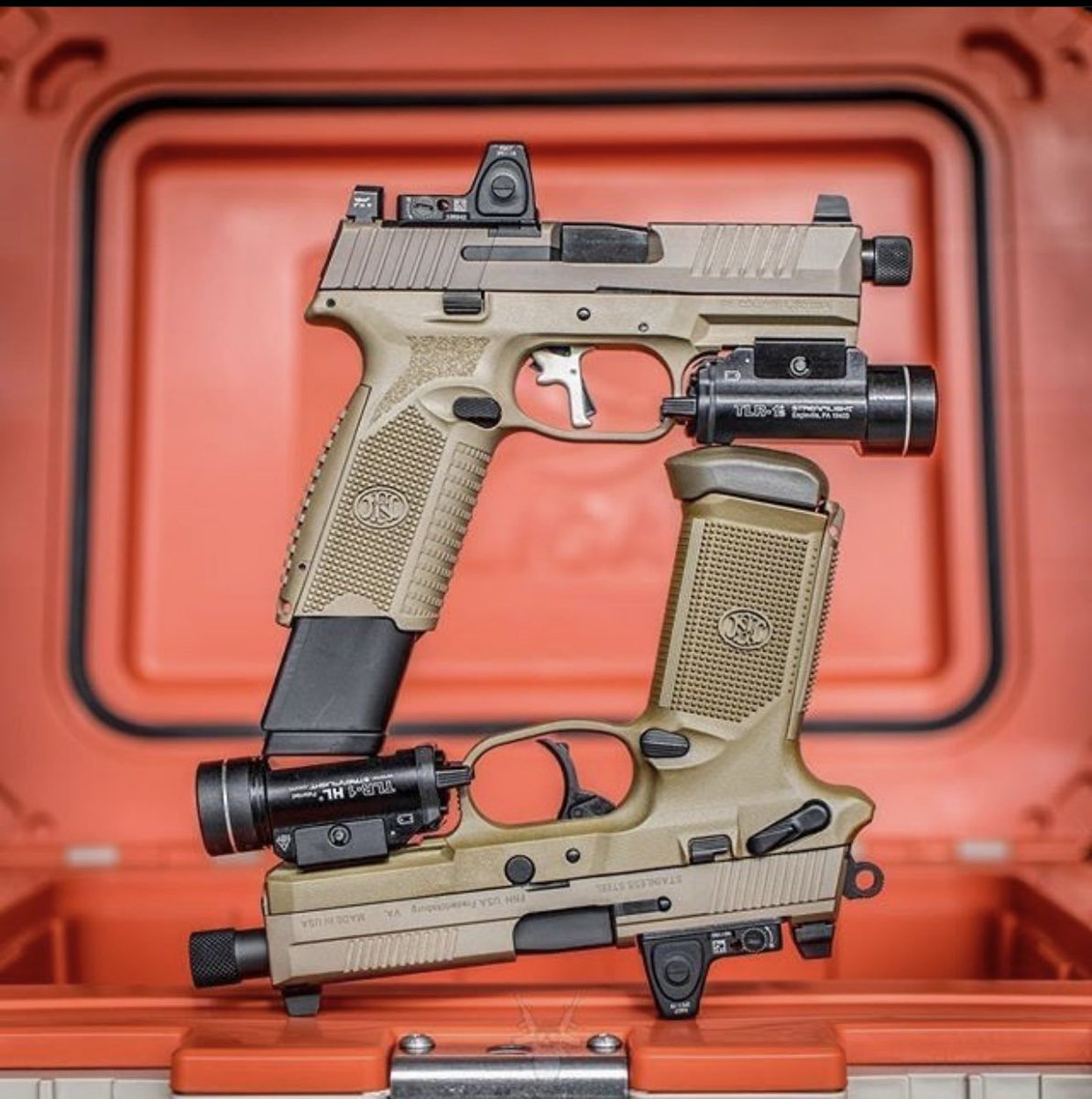 DemoDesert's tweet image. And twins!!