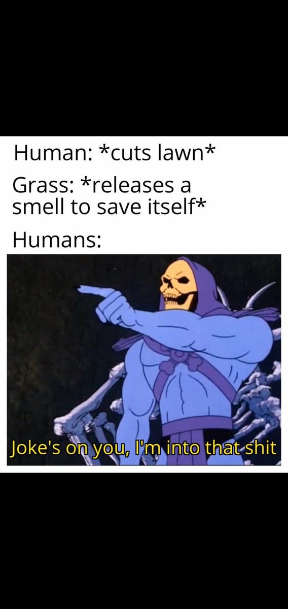 Almost forgot, have a wonderful weekend #turfheads 🍻