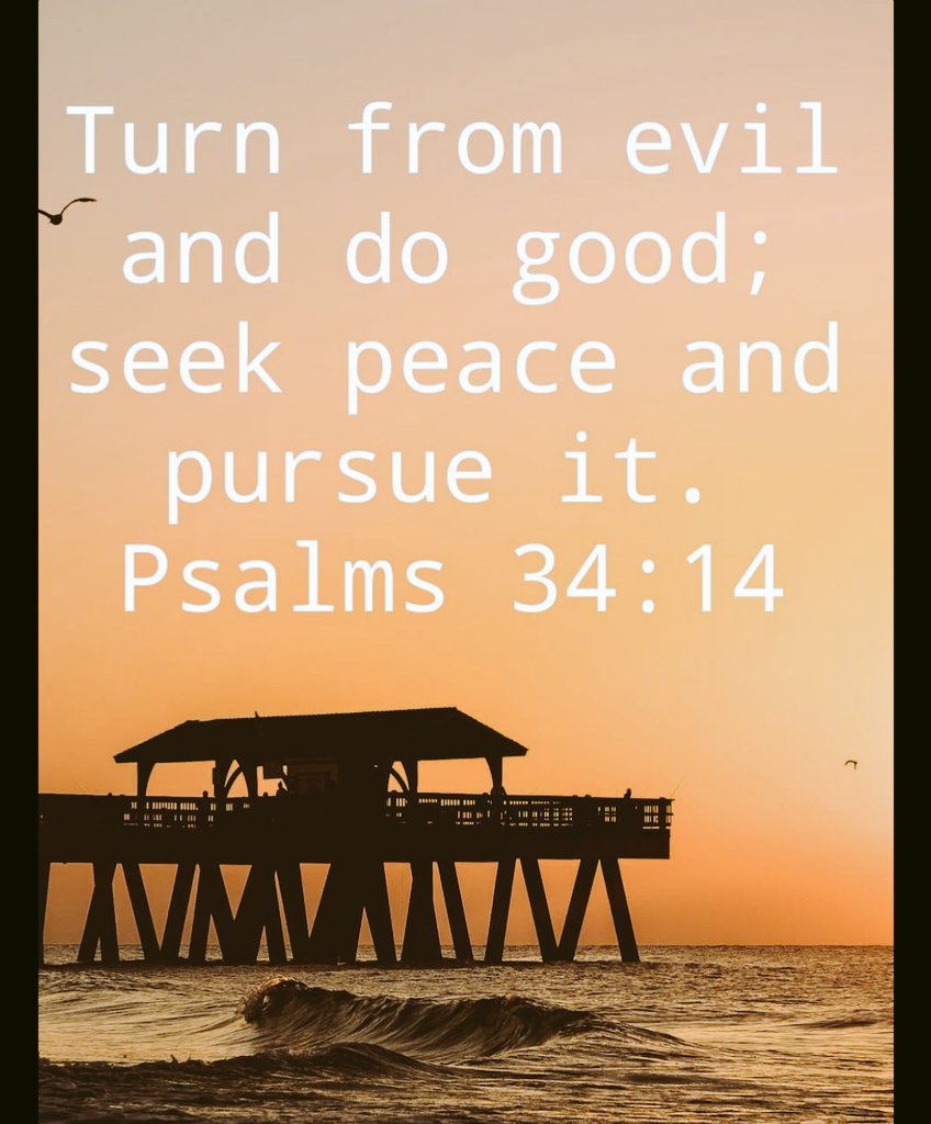 Turn from evil and do good; seek peace and pursue it. Psalms 34:14