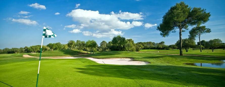 sandiasque18's tweet photo. Un campo de golf de 18 hoyos, consume al día la misma cantidad de agua que 15,000 habitantes. https://t.co/sGOwekbYaP
