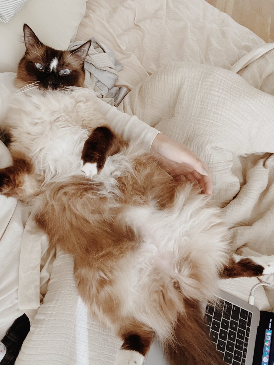 I know my mama gets off work at 6pm, so I start to cuddle at 5:30pm 😏