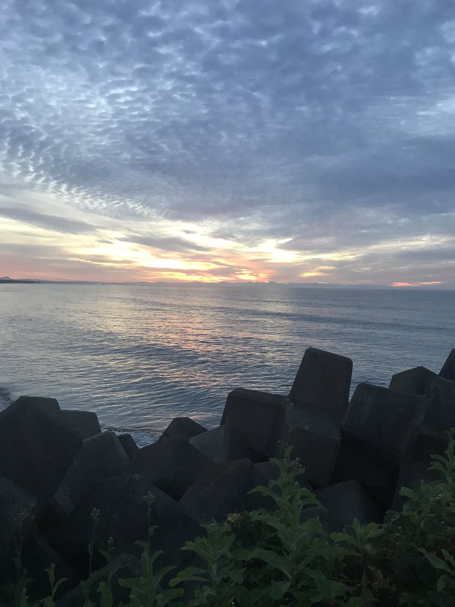 白老港 白老港