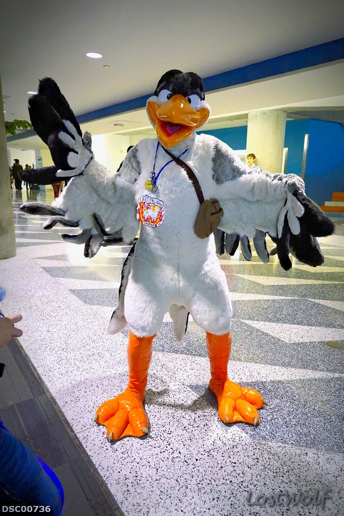 LostWolf321's tweet photo. Happy birthday @orzel!!!🎂🎂🎂
📷@furcon #FC2017
I'm hitting the big 50 myself in September. https://t.co/AbzQO1Ml5n