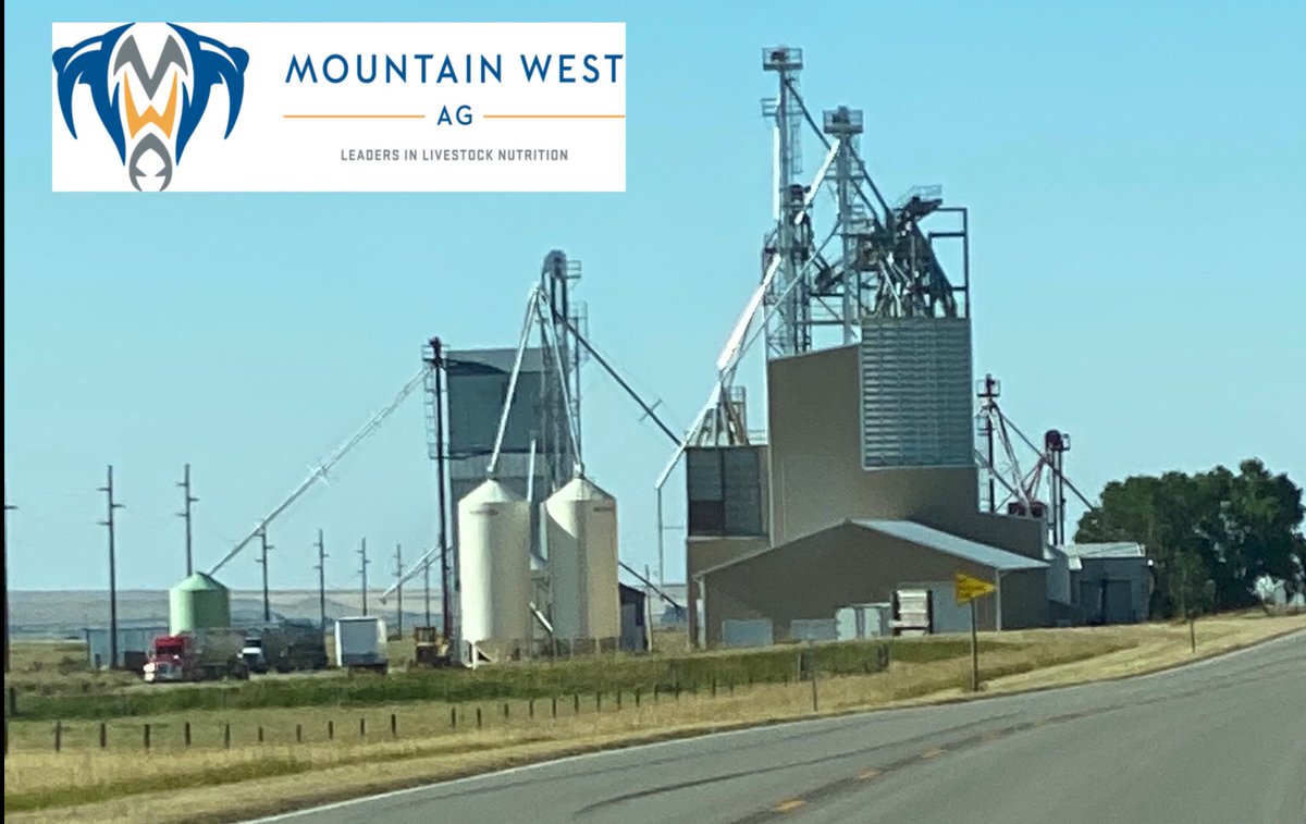 Calvin Ginter tweet media