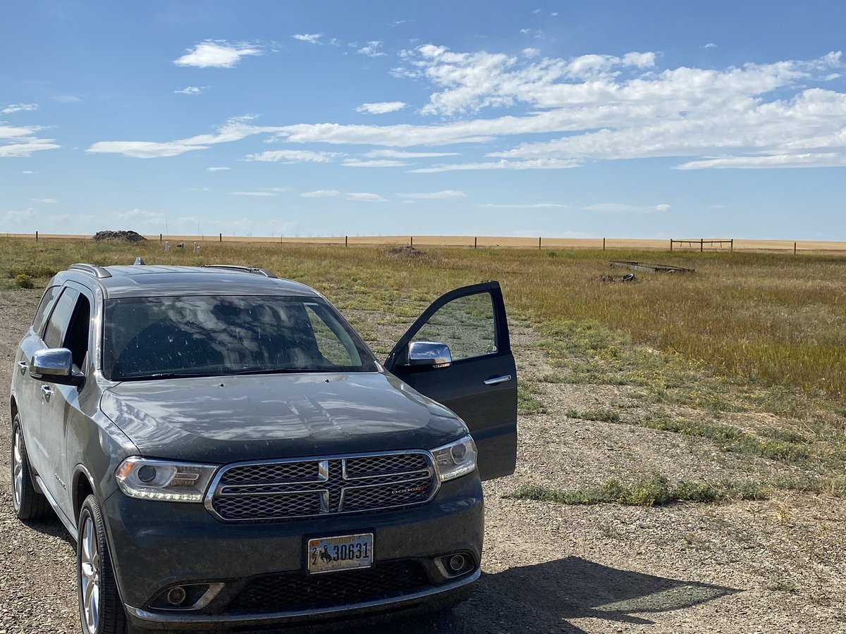 Calvin Ginter tweet media