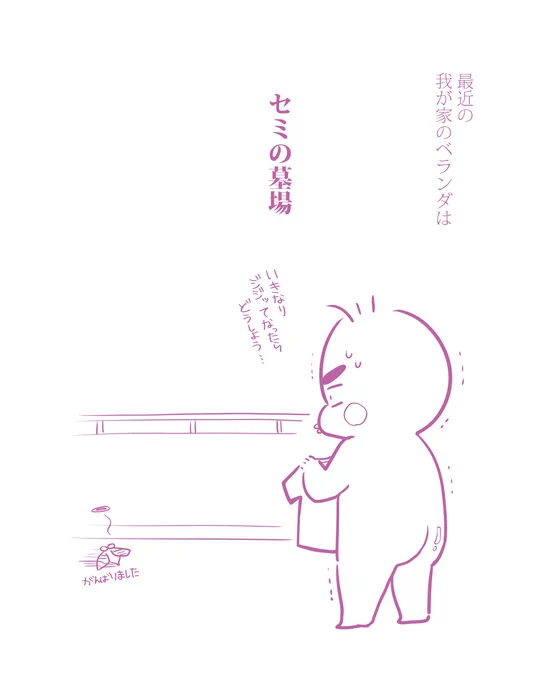 なぜこちらで……❓ 