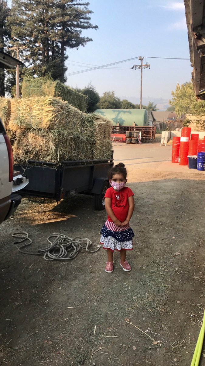 eddykah831's tweet image. Donation of hay for the 🐴🐴🐴 #CZUAugustLightningComplexFire #CZUAugustLightingComplex #CZU #PrayforCalifornia