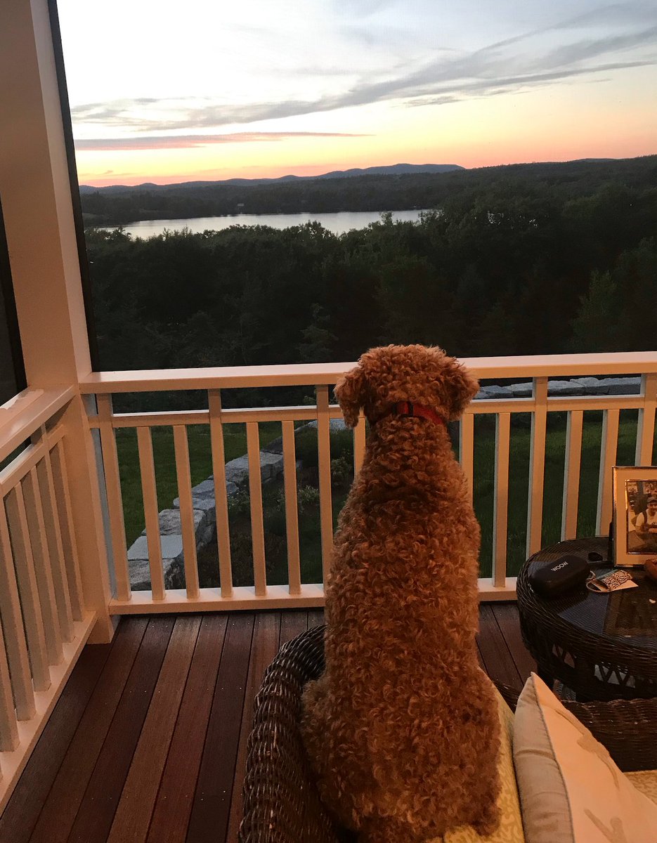24/ That’s it. I’m starting vacation, mostly in New Hampshire. Here’s Newman contemplating the view of our local lake. Back after Labor Day; we’ll restart grand rounds then. I’ll tweet at times but no long threads till I’m back. Hope you get a little down time too. Stay safe.