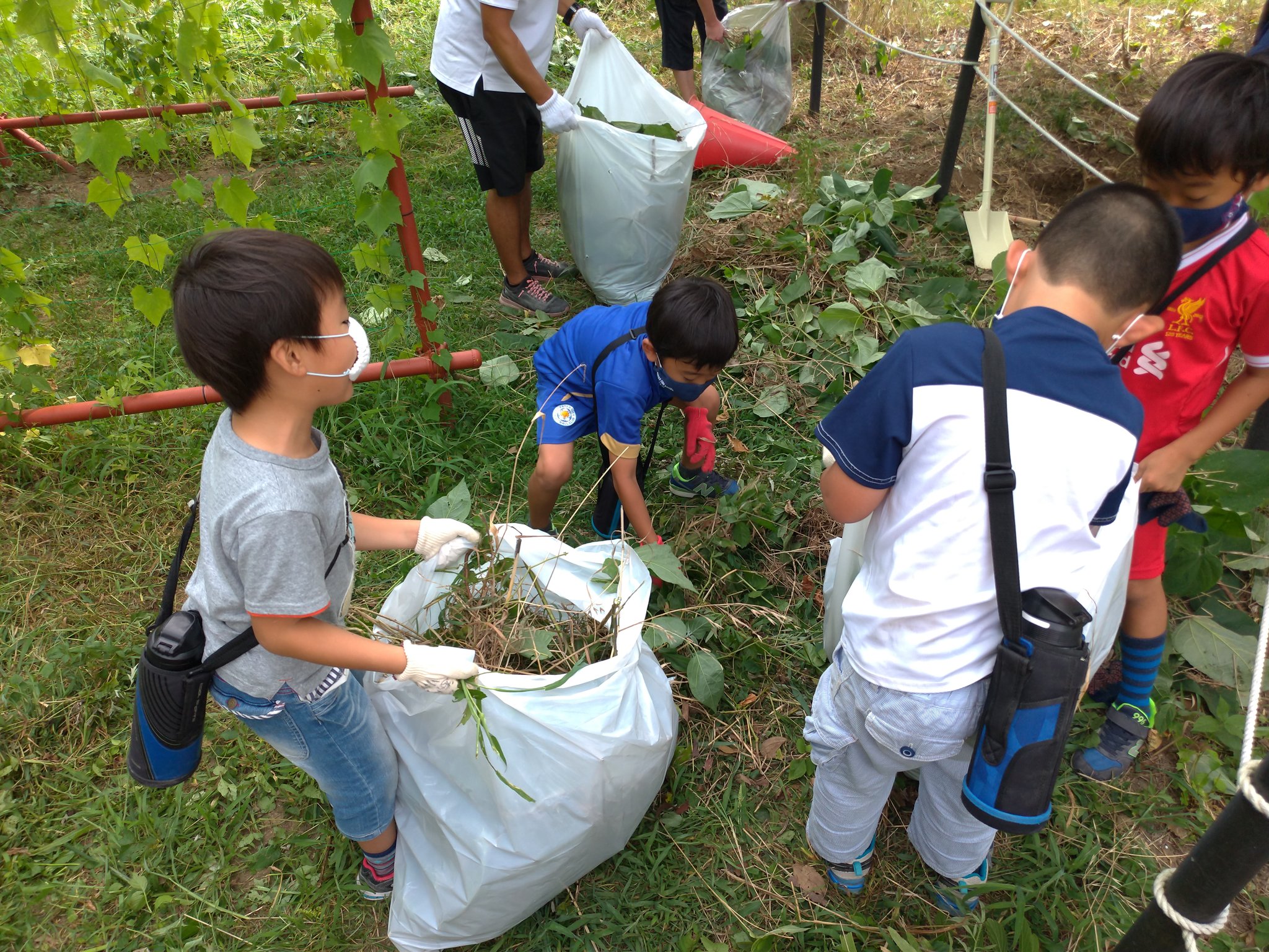 花田小学校 Twitter Search Twitter