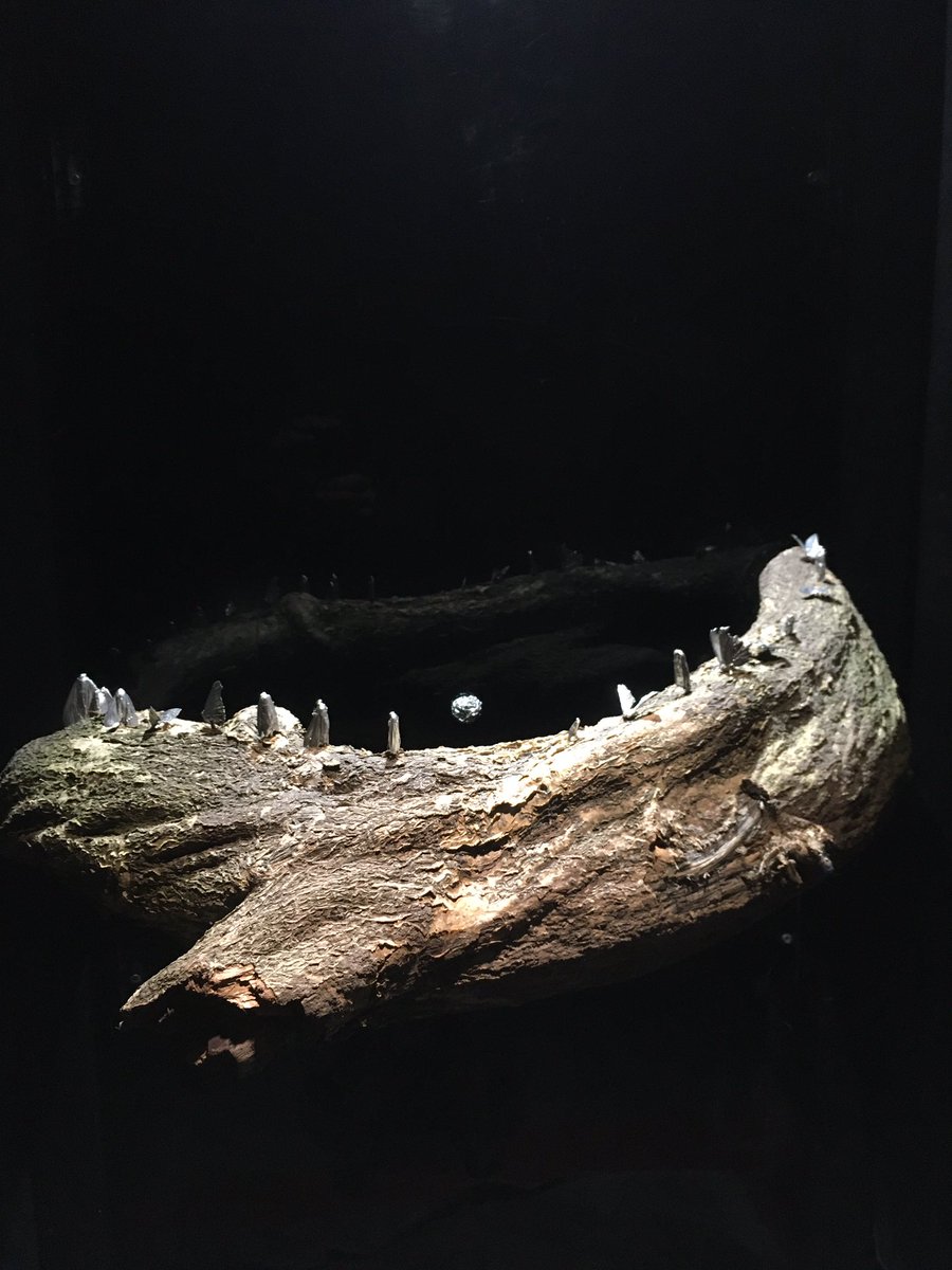 Justin Gilday tweet media