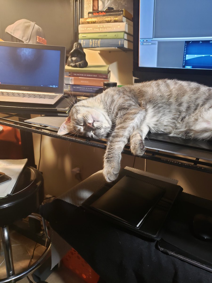 StinkyThink's tweet image. This was when we started tonight. 

She was an angel. 

We are still moving the studio asap 100% to avoid this crazy bitch. But she is adorable.