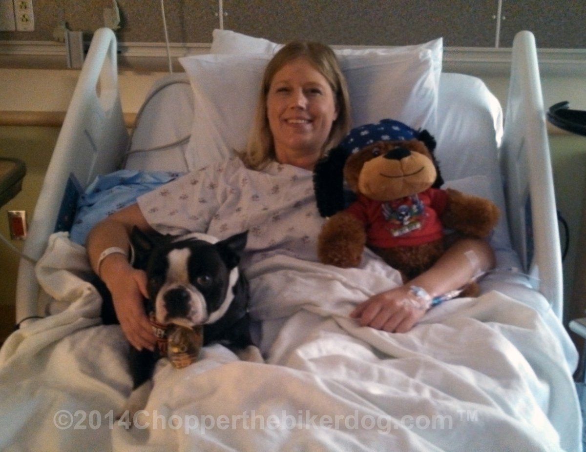ChopperBikerDog's tweet photo. It comes w/ great sadness to hear the news that one of @SanDiegoPD's finest has passed away today 😢💔🙏

I met Officer Luna &amp; her family back in 3/14 at SDPD HQ, soon after was comforting her while she was in the hospital💙💙  #Heartbroken Rest in peace Shelly. TY 4 your service https://t.co/5CGnbLTexY