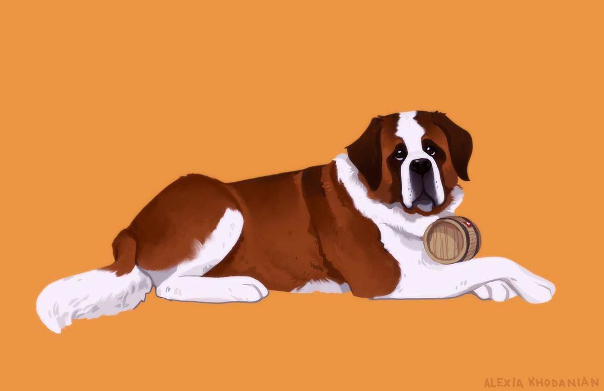   #doggust day 20: St. Bernard! Ever seen one of these guys in person? massive. I& #39;m talking, ridiculously massive.