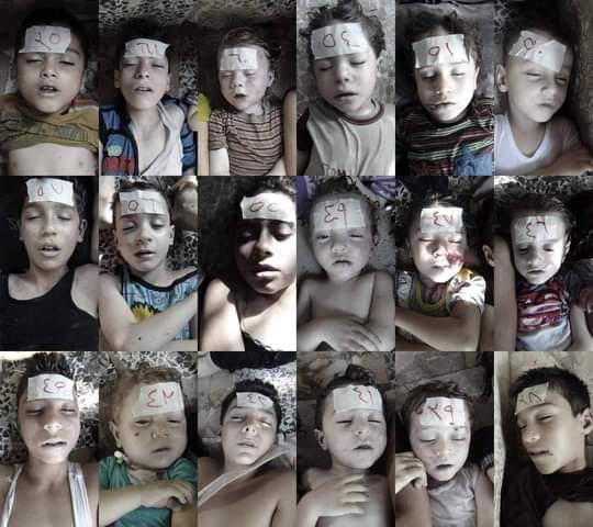 MohammadReza tweet media