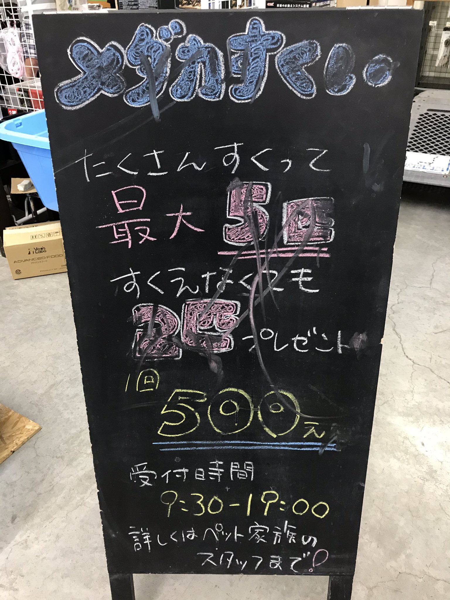 Youhei Kidachi Jpc 本日ペット家族稲城押立店にてメダカ市開催中 メダカくじとメダカすくいもやってます ペット家族 くろがねや ジャパンペットコミュニケーションズ