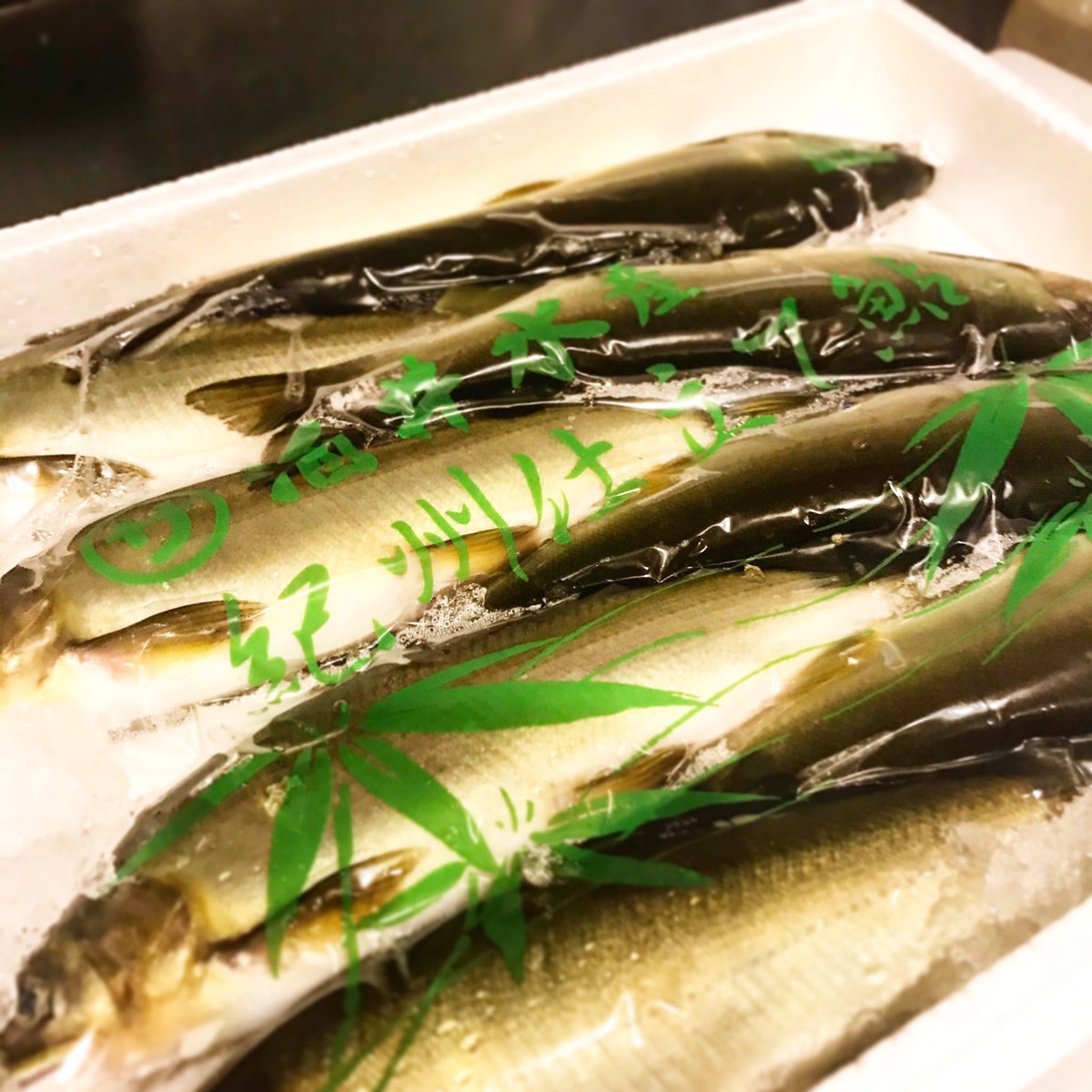魚菜酒笑 吉 国分寺 居酒屋 魚 魚菜酒笑 吉 国分寺 居酒屋 国分寺居酒屋 海鮮居酒屋 刺身 焼き魚 煮魚 新湊 富山 国分寺 魚 鮎ですよ まだまだいきまっせ 塩焼きして かぶりついてくださいませ なかなかbbqもできない昨今に うちで鮎の丸焼きいかが 昼 魚菜酒笑 吉 国分寺 居酒屋 魚 魚菜酒笑 吉 国分寺 居酒屋 国分寺居酒屋 海鮮居酒屋 刺身 焼き魚 煮魚 新湊 富山 国分寺 魚 鮎ですよ まだまだいきまっせ 塩焼きして かぶりついてくださいませ なかなかbbqもできない昨今に うちで鮎の丸焼きいかが 昼