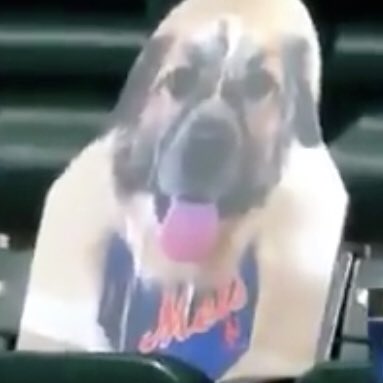 WithHarrasing's tweet image. #NewProfilePic