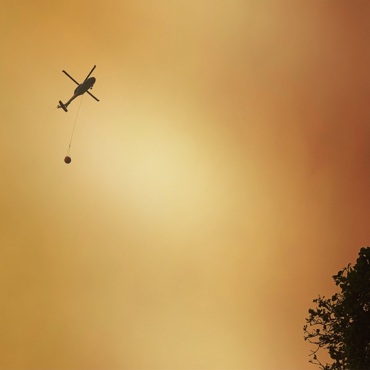 Dear Friends, we are closed through Sunday to allow staff to evacuate and support their families &amp; to shift operations to providing donated meals for evacuees and firefighters through <a href="/EatAtTheBasket/">The Picnic Basket</a> &amp; <a href="/EatSnapTaco/">Snap Taco</a>. We will reopen Monday, our 10th birthday. 😳#santacruz #staysafe