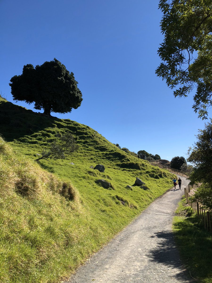 rnarkhoppus's tweet photo. God it’s awful living in this #NZHellhole. Transparent leadership from a prime minister that believes in democracy, compassion  and science. What a tyrant. Anyway this is the view from close to my house. Disgusting. https://t.co/hQplU8uhV1