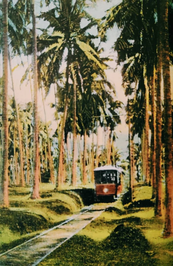 Penang used to lead in public transportation. It was among the first urban centres in Southeast Asia to operate steam trams, electric trams & trolleybuses. Pictured is an electric tram through a coconut estate in Ayer Itam countryside. This is a simple thread of its evolution.