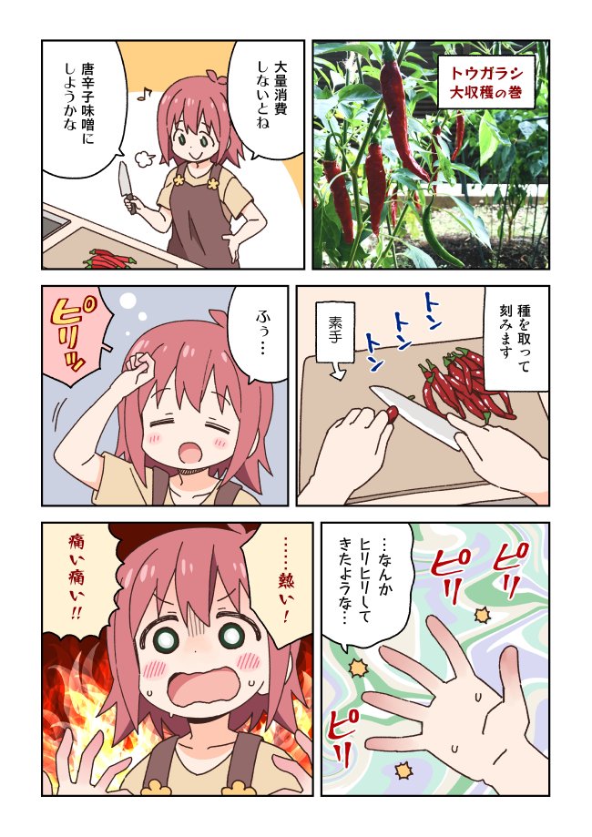 新鮮な唐辛子を調理する漫画 