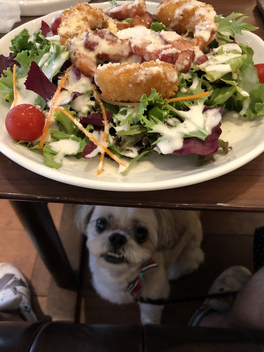 Kazutaka Kodaka 小高和剛 V Twitter 美味しそうなシーザーサラダでしょ でも よく見てください 恐ろしいケモノがこちらを狙っています