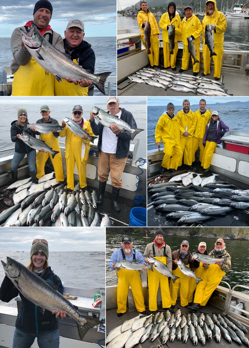 WSLSitkaAlaska's tweet photo. 8-21-2020: Slammin' Silver Salmon! #sitka #salmon #fish #fishing #alaska #sitkaalaska #halibut #lingcod #rockfish #silvers #cohos #fishinginsitka #fishinginalaska #sitkafishing #alaskafishing #wildstrawberrylodge #alaskapremiercharters #sportfishing #fishingvacation #visitsitka https://t.co/TmSu0UhLU5