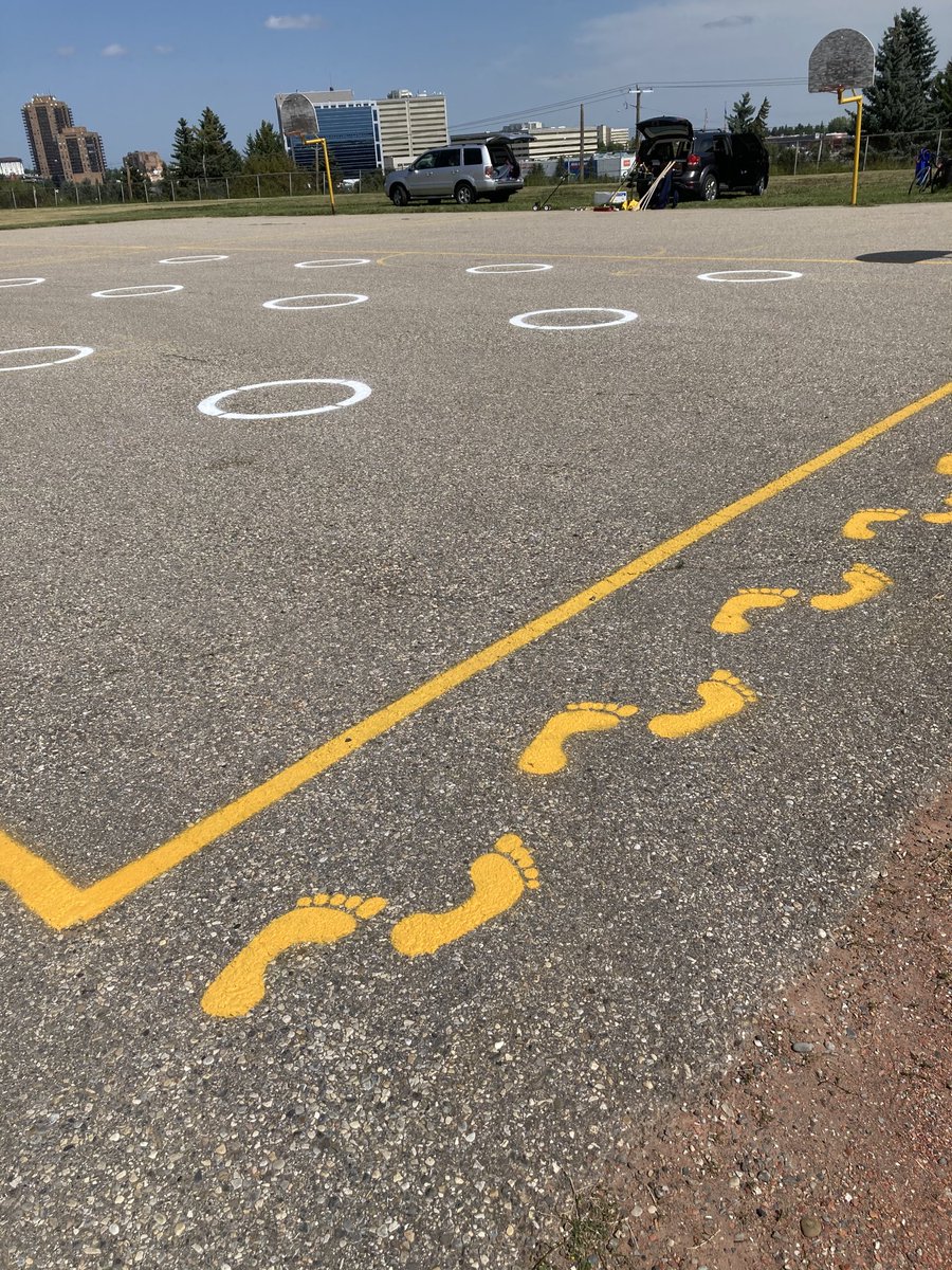 Sonia Sheehan tweet media