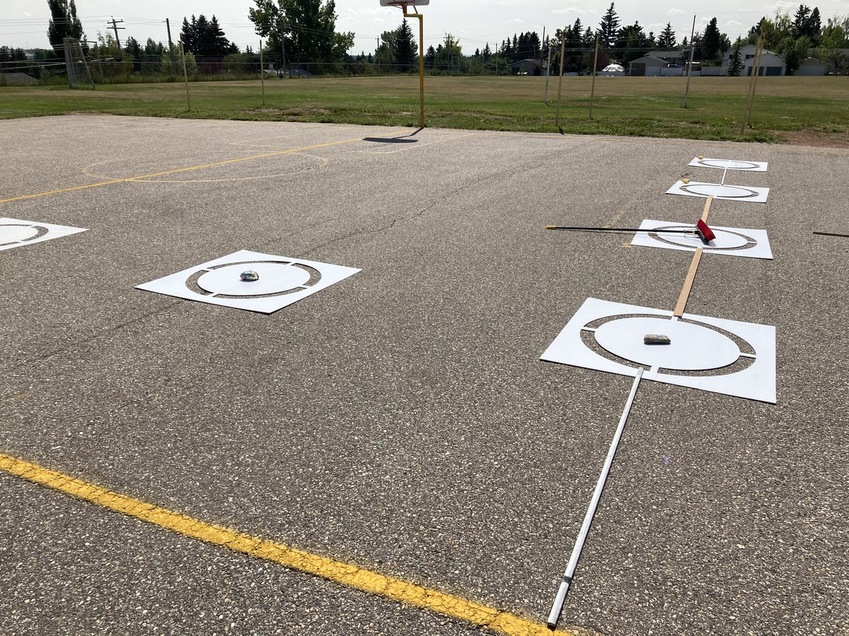 Sonia Sheehan tweet media