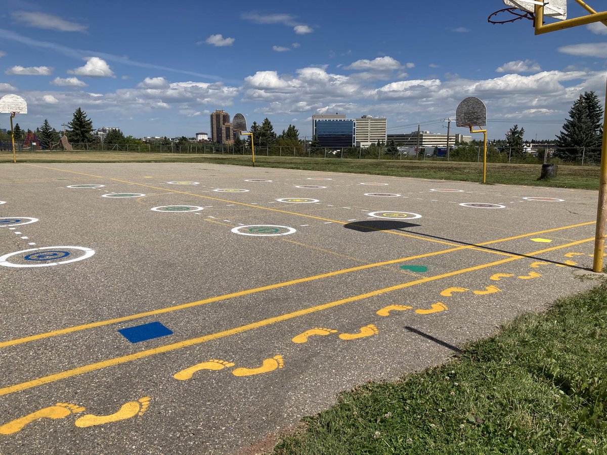 Sonia Sheehan tweet media