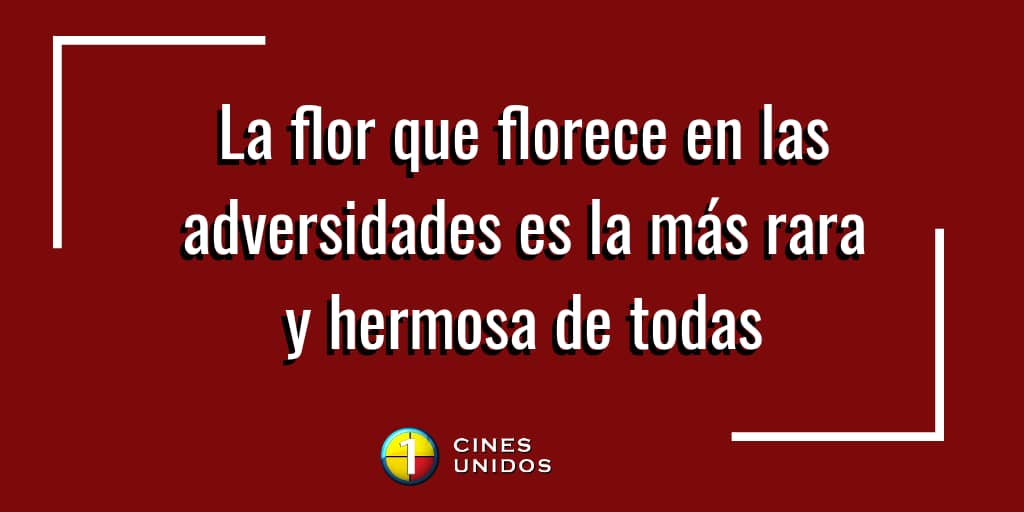 CinesUnidos's tweet photo. ¡Solo para verdaderos cinéfilo!🤩

¿A qué película pertenece esta #FraseDePelícula?❤️

Pista: Es una princesa guerrera🤩

¡Coméntanos!

#CinesUnidos #CU #RetoCU https://t.co/UsjsOKYFpR