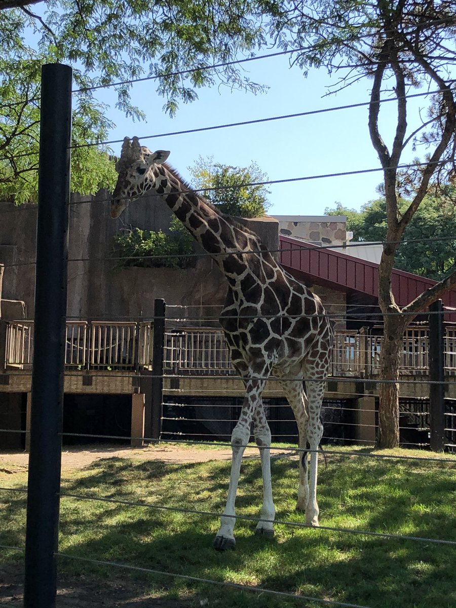 jochl's tweet photo. A beautiful day spent at @MilwaukeeCoZoo https://t.co/rXTXqtb27r