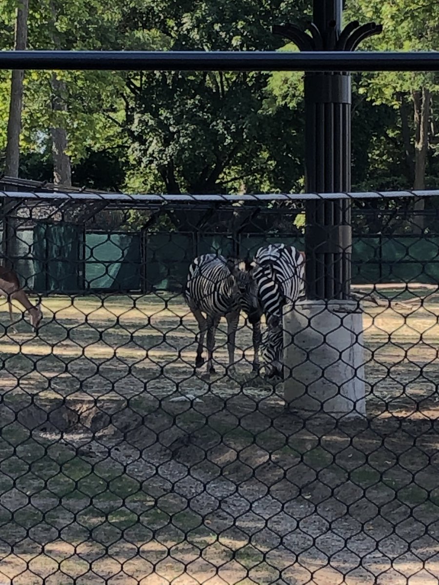 jochl's tweet photo. A beautiful day spent at @MilwaukeeCoZoo https://t.co/rXTXqtb27r