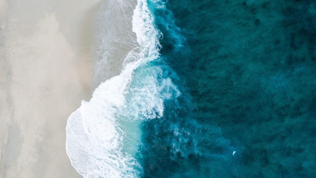 CSIRO's tweet photo. National Science Week starts today! This year’s theme is Deep Blue: innovations for the future of our oceans. We’re challenging Australians to find out what connects them to the ocean. Learn more and get involved!  

#scienceweek #STEMChallenge 

https://t.co/6xpDrlCjcc https://t.co/eNTsmhrH4t