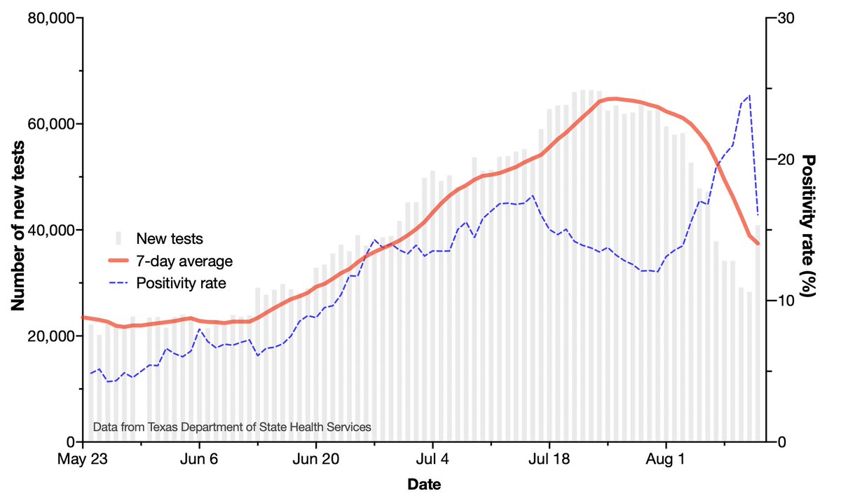 2/ The reporting of testing has been significantly disrupted in TX. The reported number of tests in the last 2 wks has plummeted ~50% from a peak of ~65K tests on Jul 23 to 28K tests on Aug 11. Meanwhile, the tests positivity rate has exceeded 20% — peaking at 24.5% on August 11.