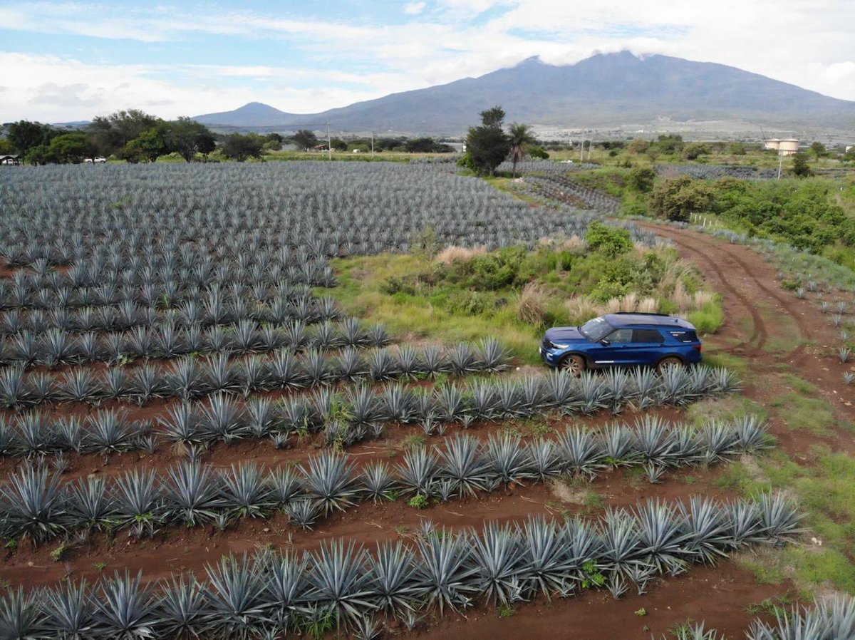 MVSNoticias's tweet photo. El equipo ya casi se despide de #ExplorerST Ahora se encuentran en el último destino, Guadalajara. 🙌
@Autosymas
#ExperienceExplorerST #EstoEsFordPerformance
@FordMX. https://t.co/yJdvQp9caD