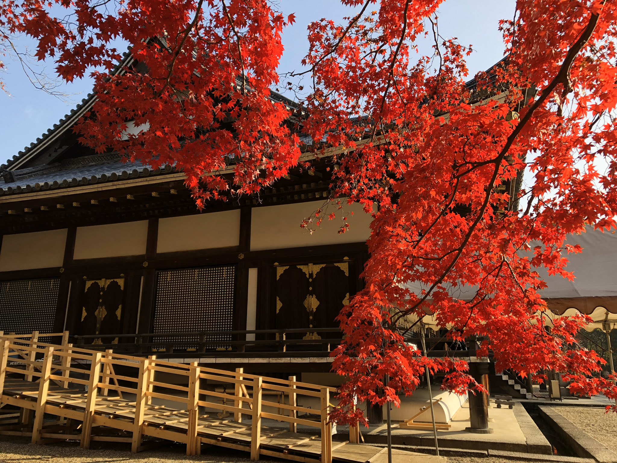 Tkasasagi Another Thread For Your Zoom Virtual Background T Co Jiwiurxr0v Twitter