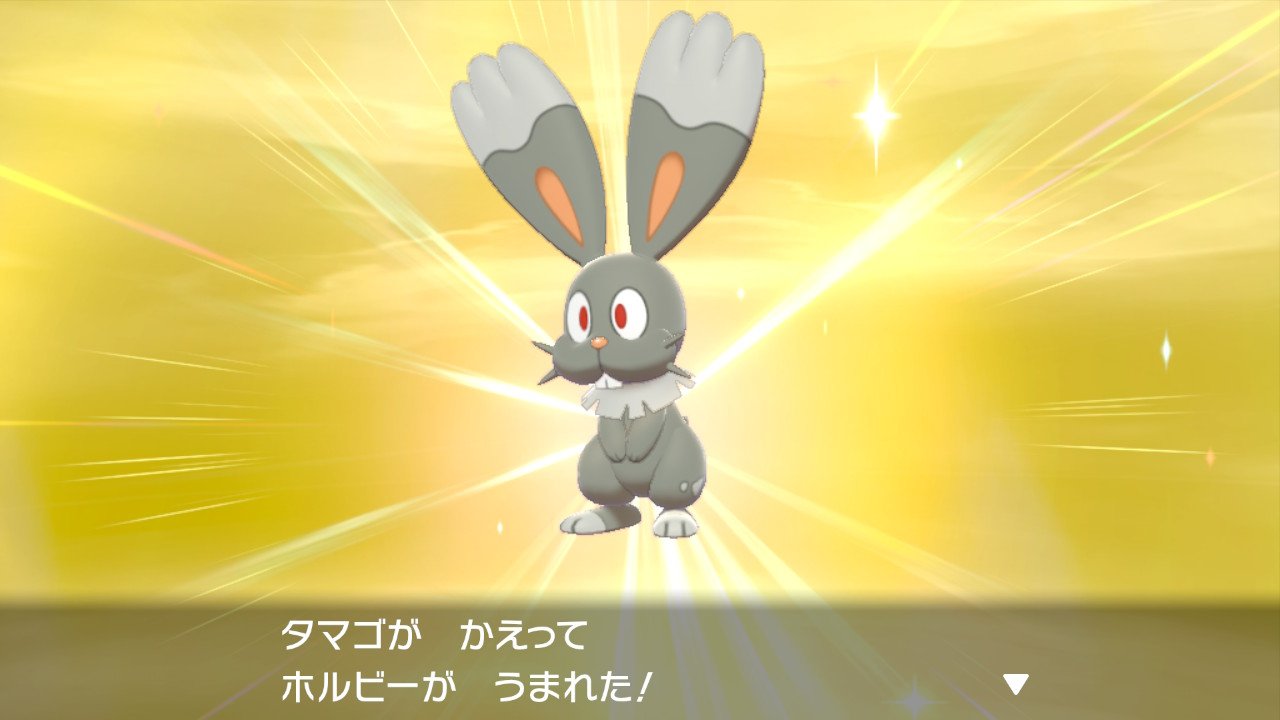 おでこ兄貴 En Twitter ホルビー色違い お盆だろうと孵化厳選 W ポケモン剣盾 色違い T Co Fgzmgohd48 Twitter