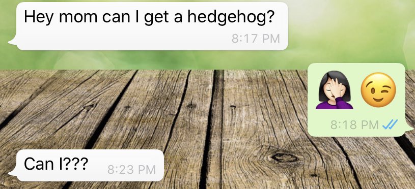 As if making an international move, renovating our house, movers losing 1/2 of our furniture, school going fully online, trying to start a MA degree, an internship and four kids wasn’t enough.... my newly 13 year old texted me this tonight-